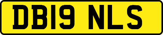 DB19NLS