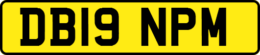 DB19NPM