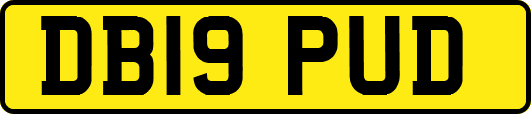 DB19PUD