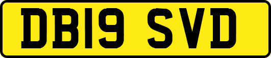 DB19SVD