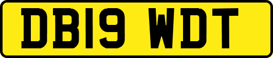DB19WDT