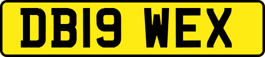 DB19WEX