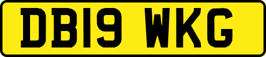 DB19WKG
