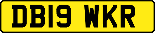 DB19WKR