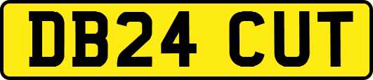 DB24CUT
