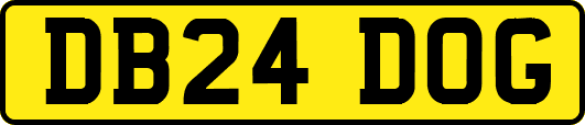 DB24DOG
