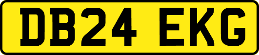 DB24EKG