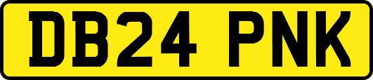 DB24PNK
