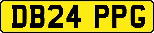 DB24PPG