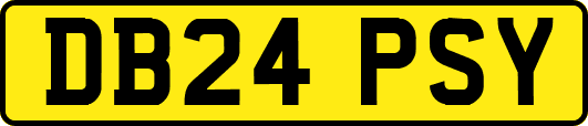 DB24PSY