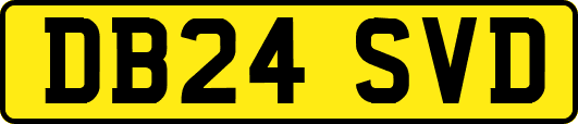 DB24SVD