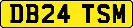 DB24TSM