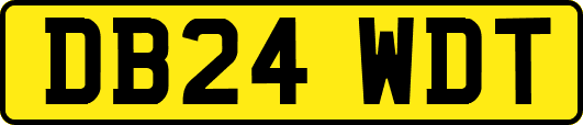 DB24WDT