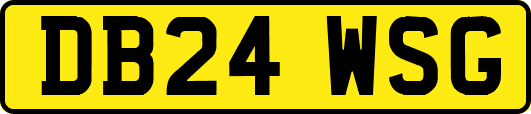 DB24WSG