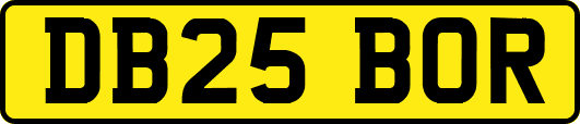 DB25BOR