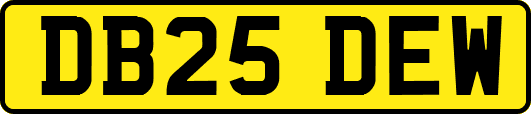 DB25DEW