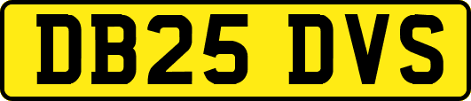 DB25DVS