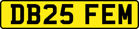DB25FEM