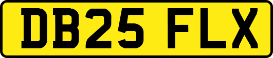 DB25FLX