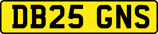 DB25GNS