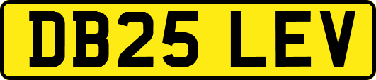 DB25LEV