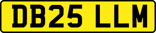 DB25LLM