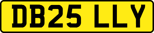 DB25LLY