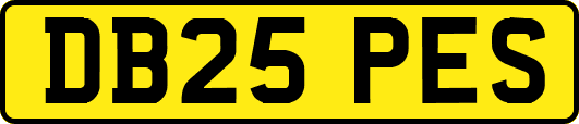 DB25PES