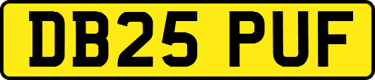DB25PUF