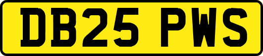 DB25PWS
