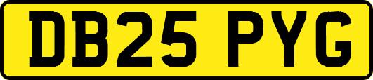 DB25PYG