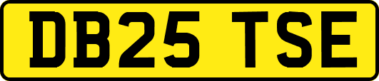 DB25TSE