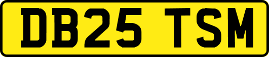 DB25TSM