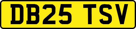 DB25TSV