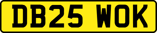 DB25WOK