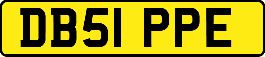 DB51PPE
