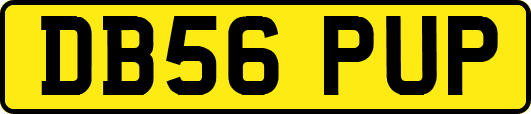 DB56PUP