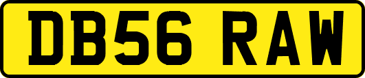DB56RAW