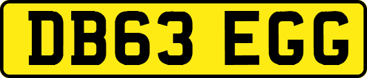 DB63EGG