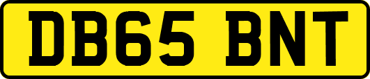 DB65BNT