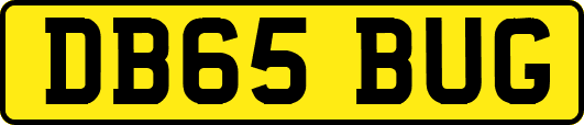 DB65BUG