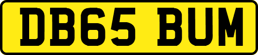 DB65BUM