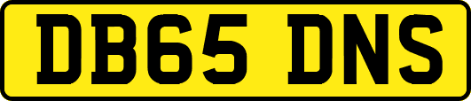 DB65DNS