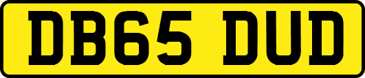 DB65DUD