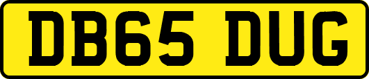 DB65DUG
