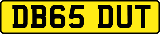 DB65DUT
