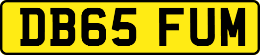 DB65FUM