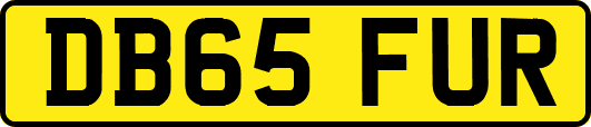DB65FUR