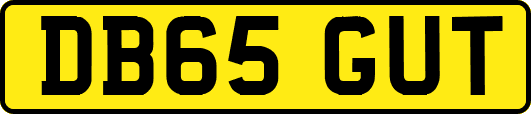DB65GUT