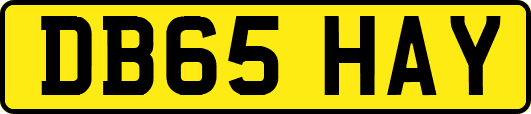 DB65HAY